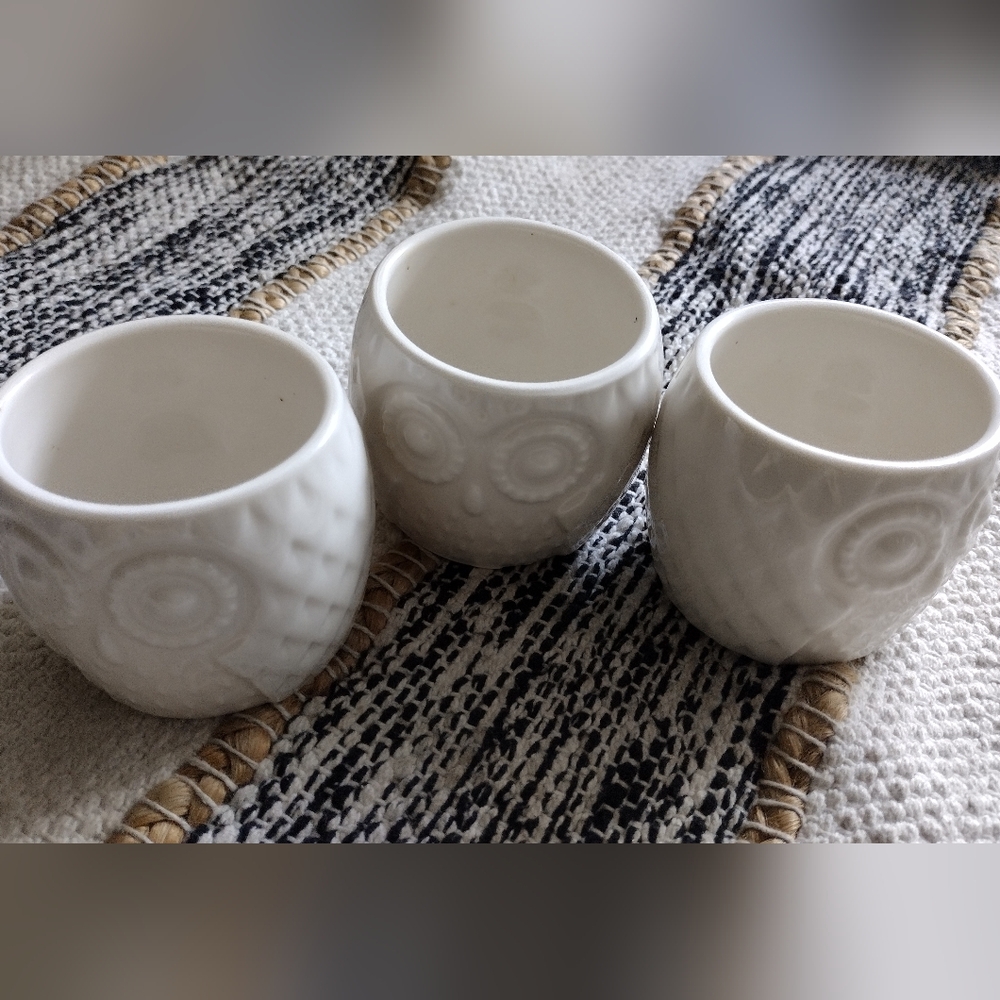 Adorable White Owl Ceramic Succulent planters - Picture 2 of 4